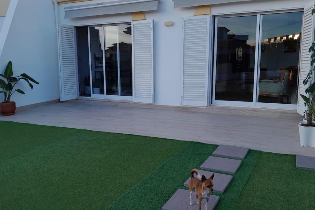 Gale Premium House - Pet Friendly Hébergement de vacances Albufeira