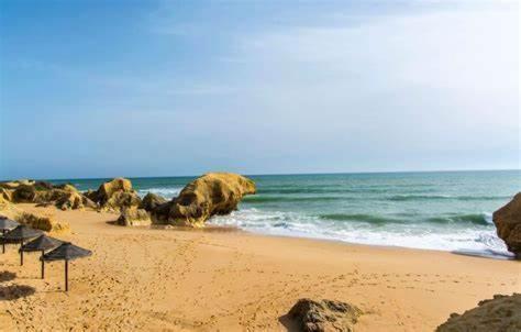 Hébergement de vacances Gale Premium House - Pet Friendly